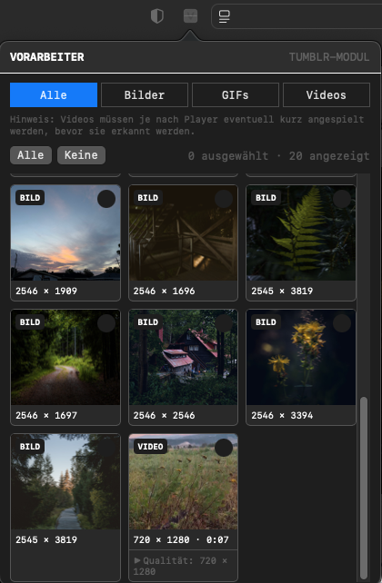 VORARBEITER Safari extension with detected images, GIFs and videos